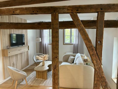 Top Airbnb: Luxury apartment in a prime location à Troyes