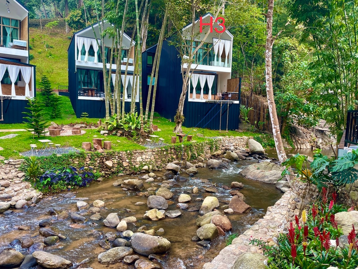 Two contemporary structures are nestled among lush greenery, featuring large windows and geometrically shaped roofs. A gently flowing stream with smooth stones runs in the foreground, bordered by vibrant plant life, creating a serene natural setting.