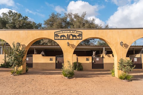 Farm, Large Open Gardens, Mini Donkeys, Alpacas