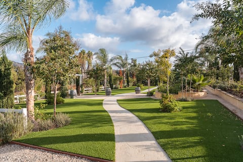 Animal Lover’s Farm Stay Mini Donkeys & Alpacas