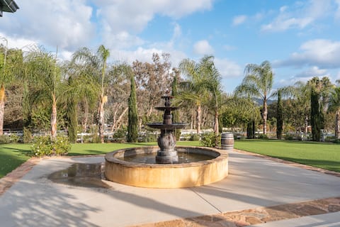 Modern Farm Stay, Mini Donkeys, Alpacas