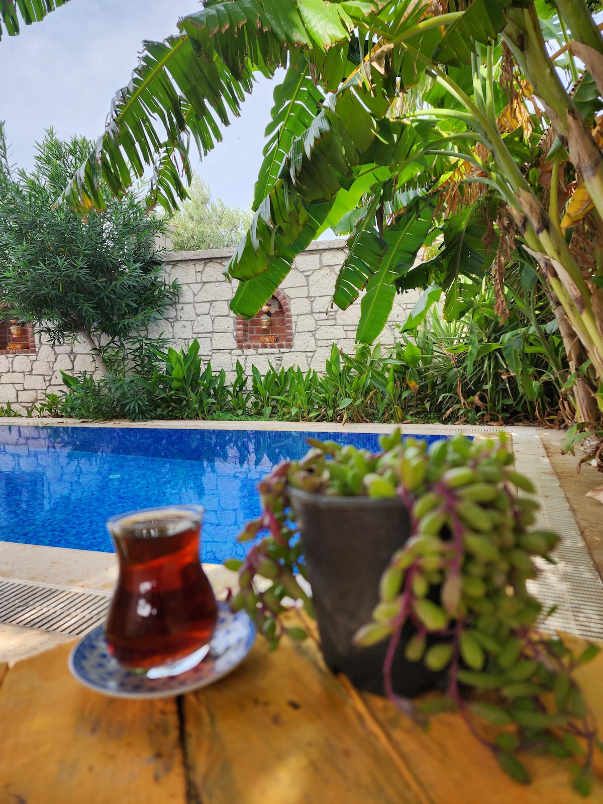 A tranquil swimming pool is framed by lush greenery, with tall banana plants and other foliage in the background. A small table holds a traditional cup of tea on a patterned saucer, accompanied by a potted succulent, creating a serene outdoor setting.