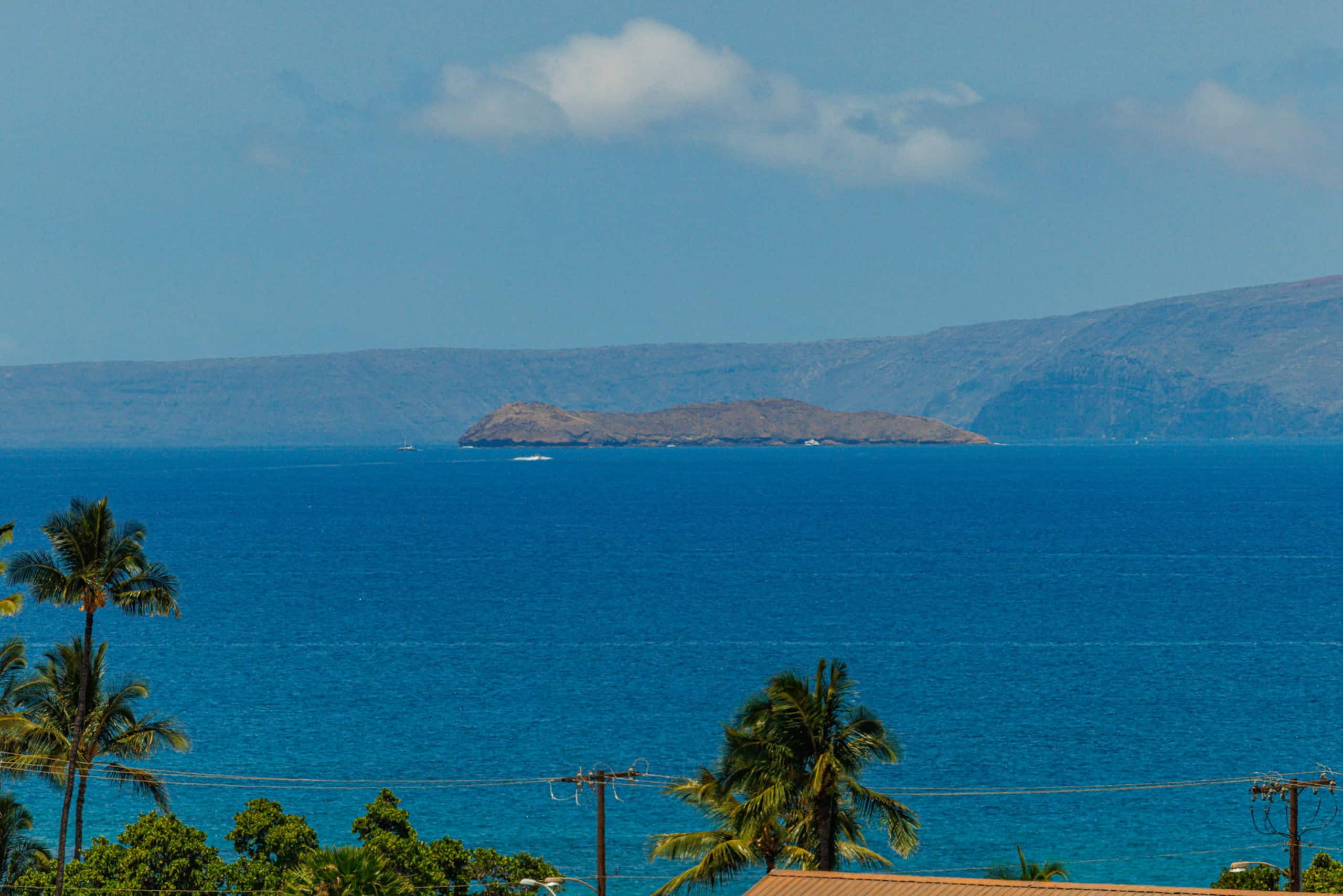 Condo in Kihei · ★4.9 · 2 bedrooms · 3 beds · 1 private bath - Image 57