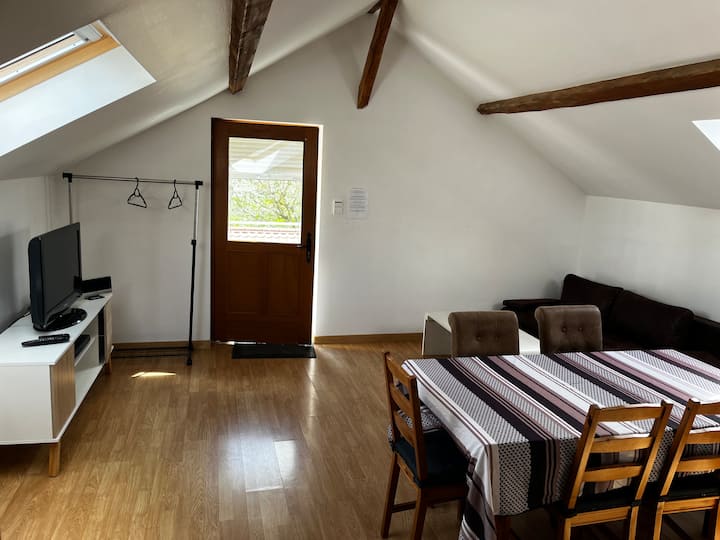 TV samo s DVD playerom i DVD-om, bez kanala ili Wi-Fi veze 