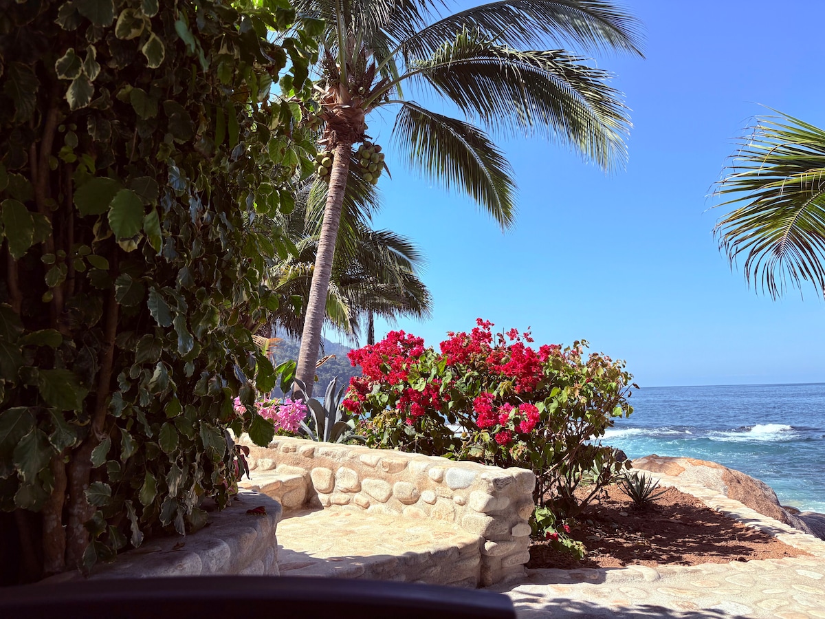 Vibrant tropical plants are framed by palm trees, leading towards the ocean view. Bougainvillea blooms in shades of pink and red add color to the rocky landscape, while gentle waves can be seen in the background under a bright blue sky.