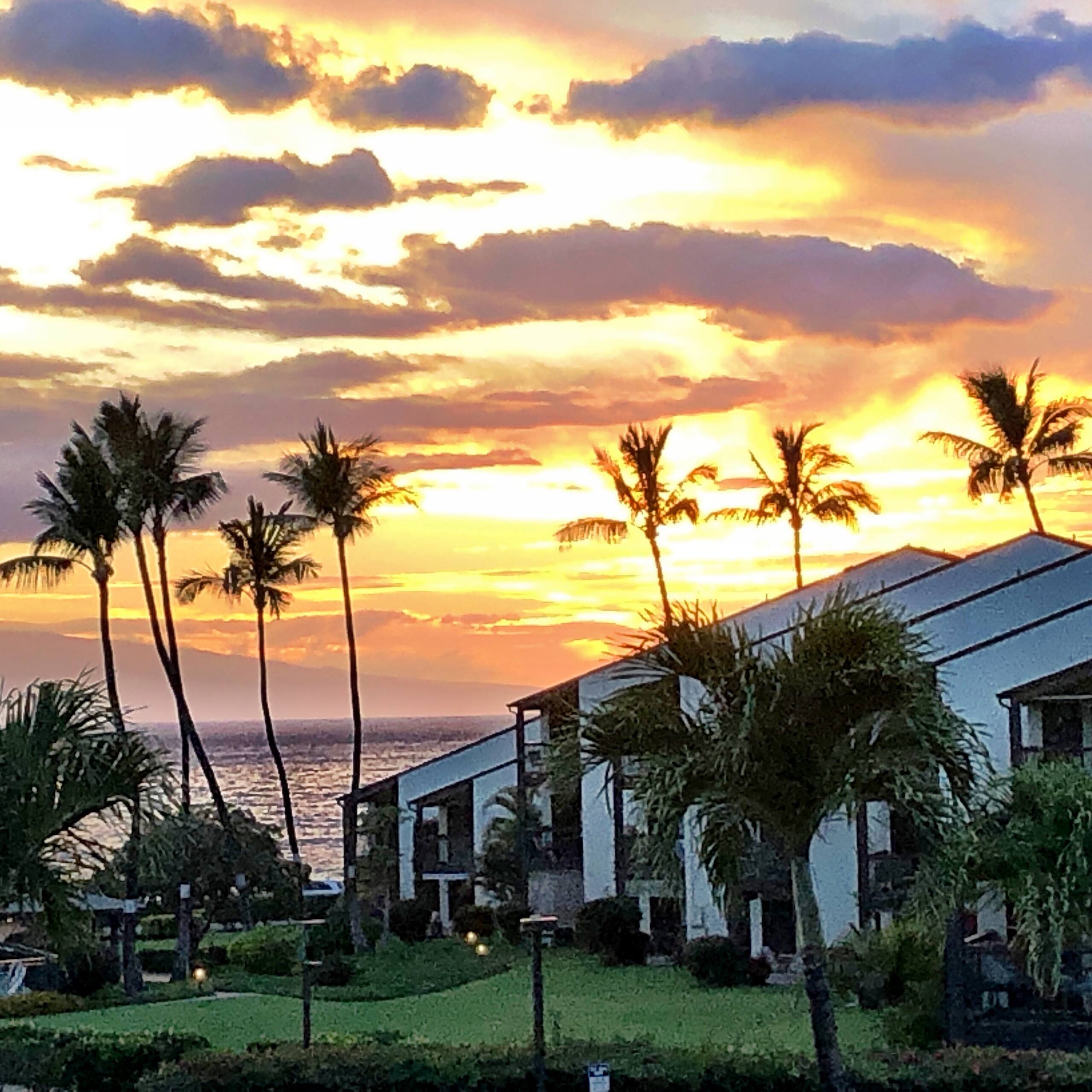 Condo in Kihei · ★4.87 · 1 bedroom · 2 beds · 1 private bath - Image 3