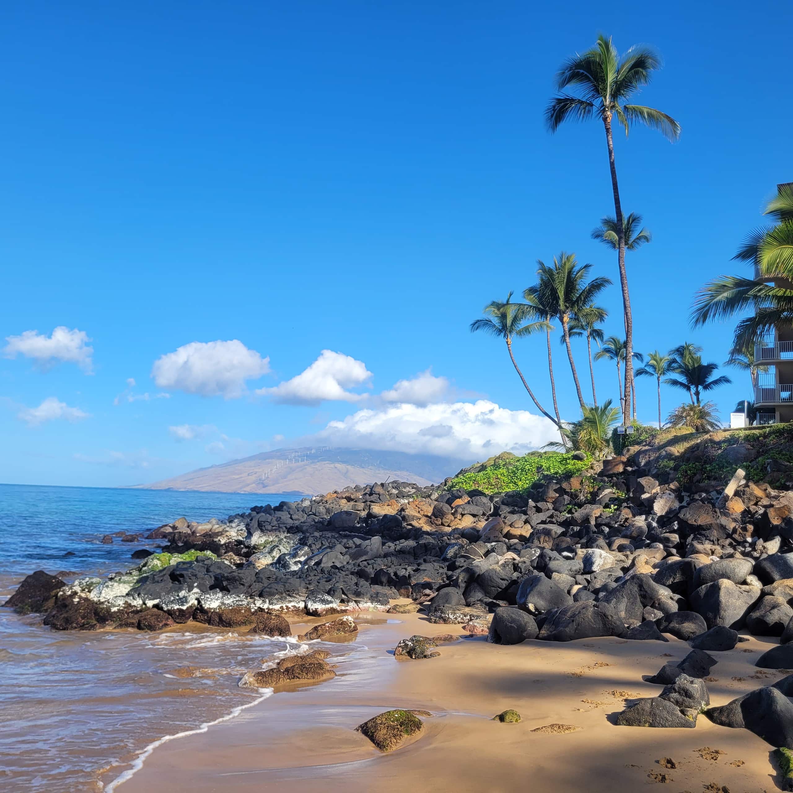 Condo in Kihei · ★4.87 · 1 bedroom · 2 beds · 1 private bath - Image 24