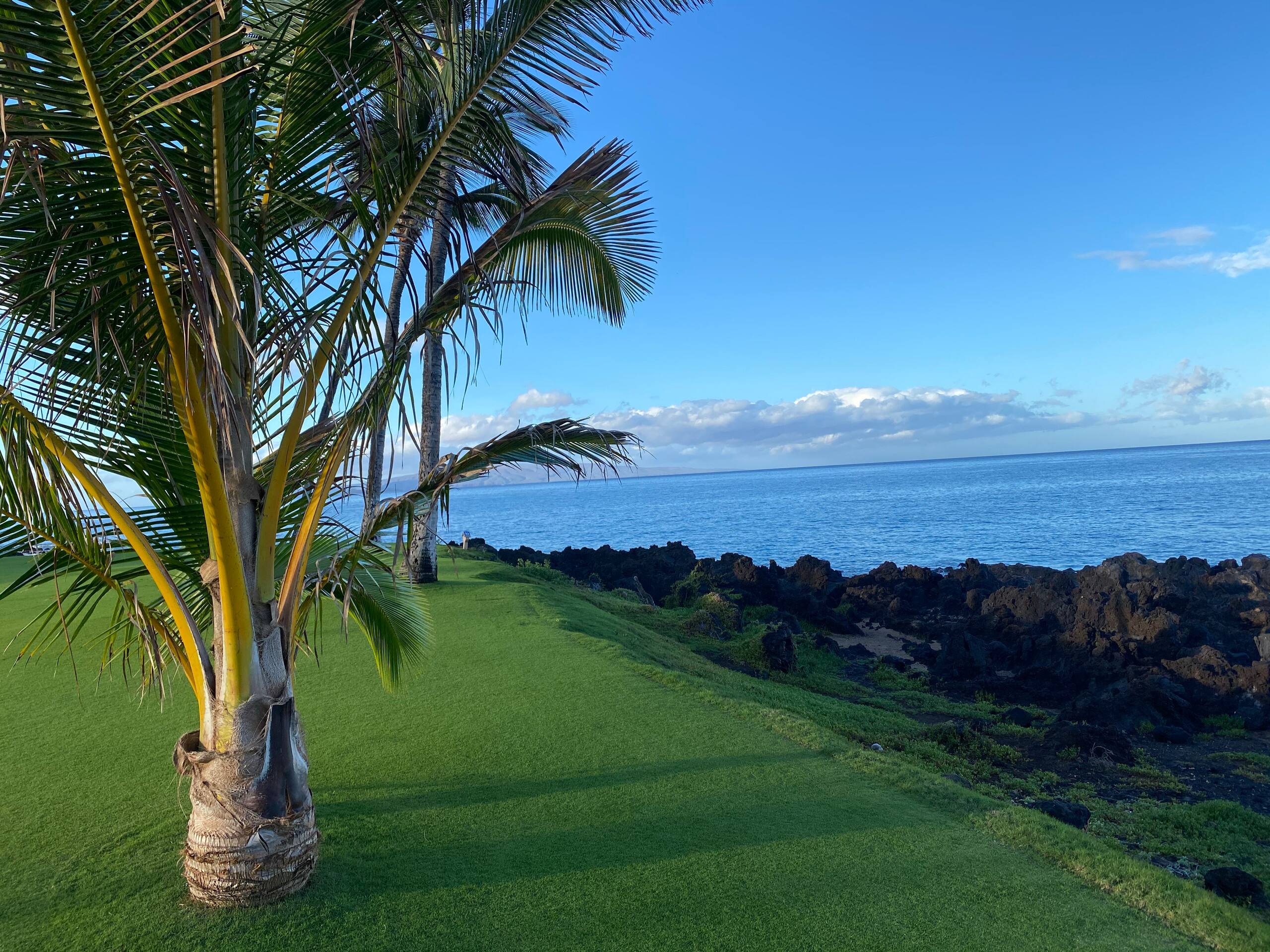 Condo in Kihei · ★4.87 · 1 bedroom · 2 beds · 1 private bath - Image 21