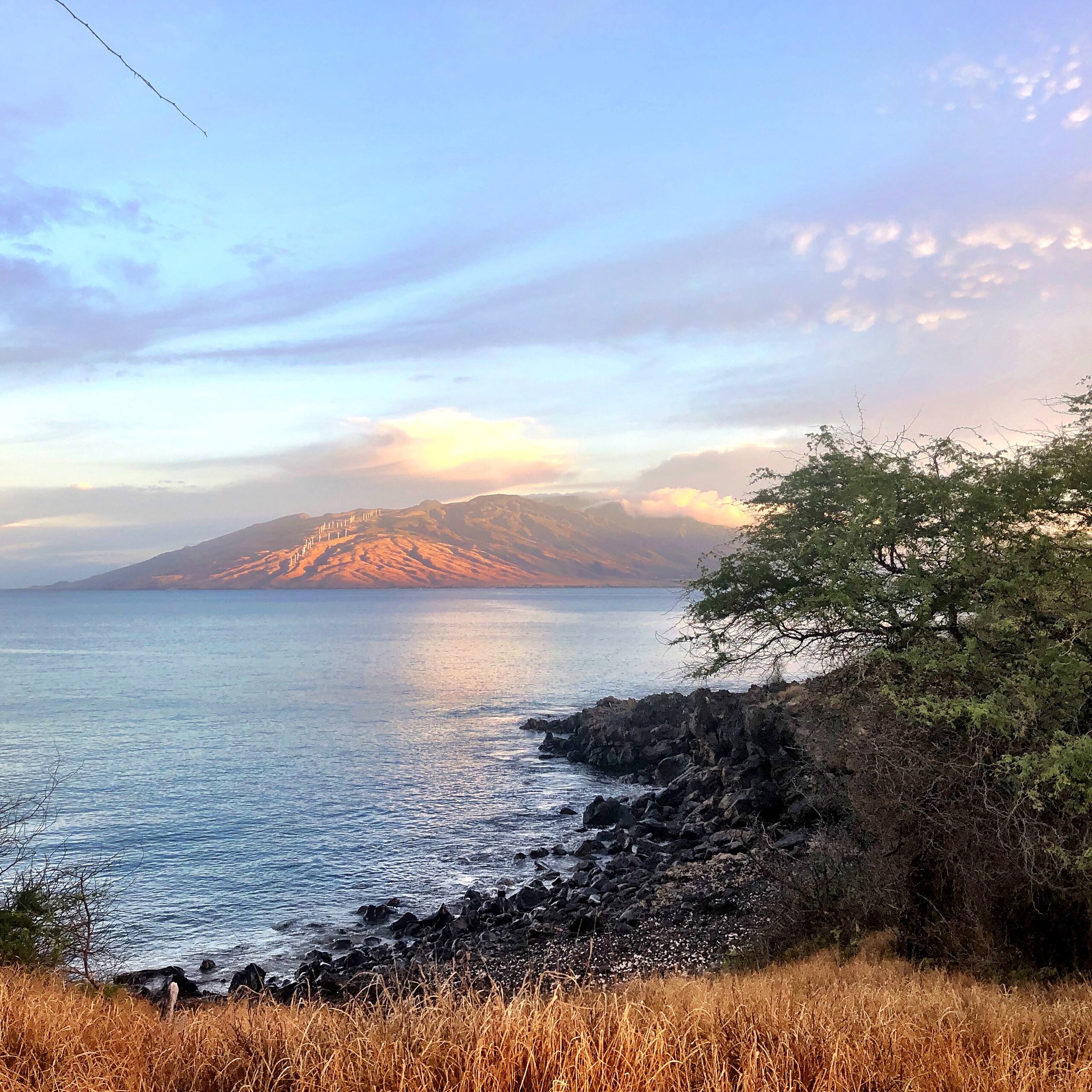Condo in Kihei · ★4.87 · 1 bedroom · 2 beds · 1 private bath - Image 19