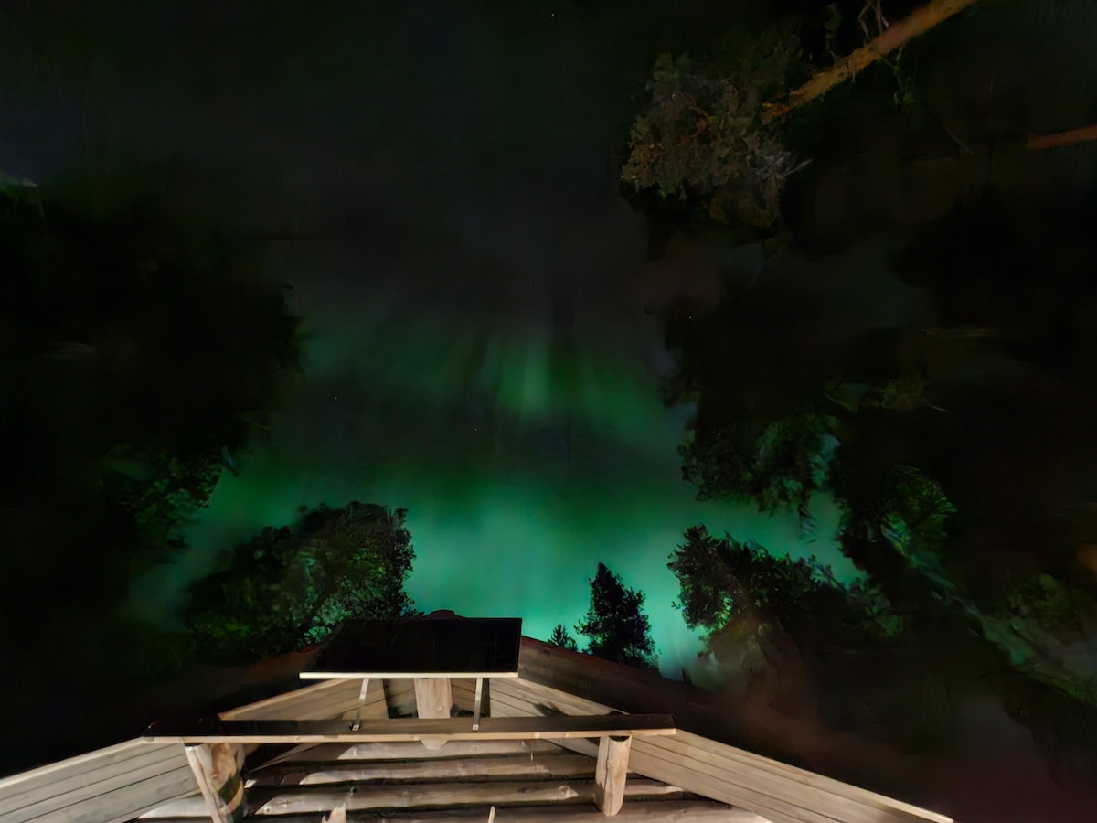 The image captures a view from the cabin towards the night sky, showcasing vibrant green auroras illuminated above a forest of tall trees. The wooden structure's roof is visible at the bottom, enhancing the immersive experience of the natural light display.