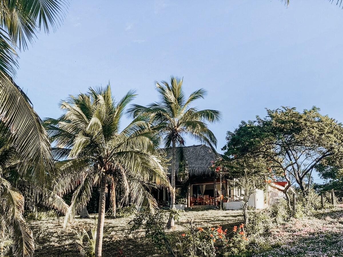 A view of the beachfront house is surrounded by lush green coconut palms and vibrant tropical vegetation. The thatched roof structure is partially visible, offering a sense of connection to the natural environment. Clear skies provide a bright backdrop that enhances the serene outdoor setting.