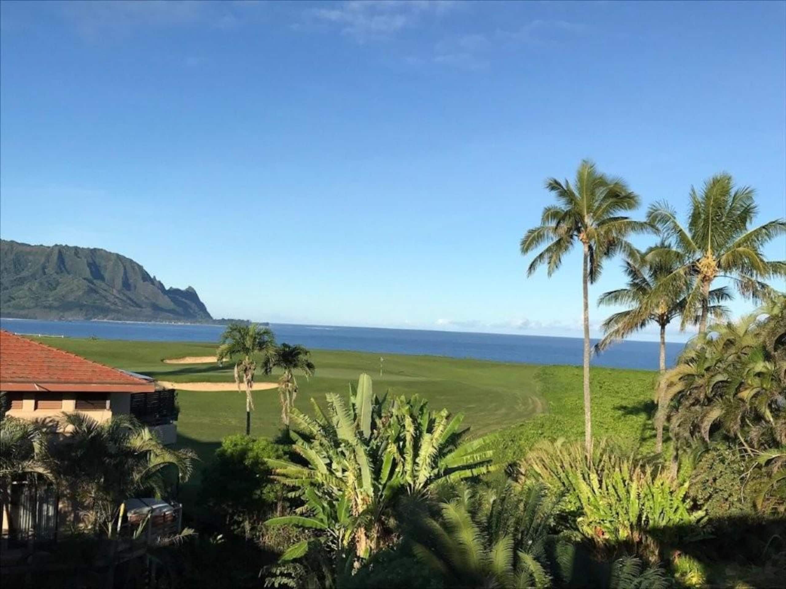 Home in Princeville · ★4.8 · 4 bedrooms · 4 beds · 3 baths - Image 37