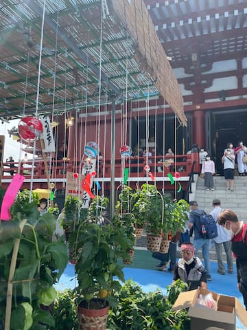 Only 1 min from Sensoji ! All new and private !