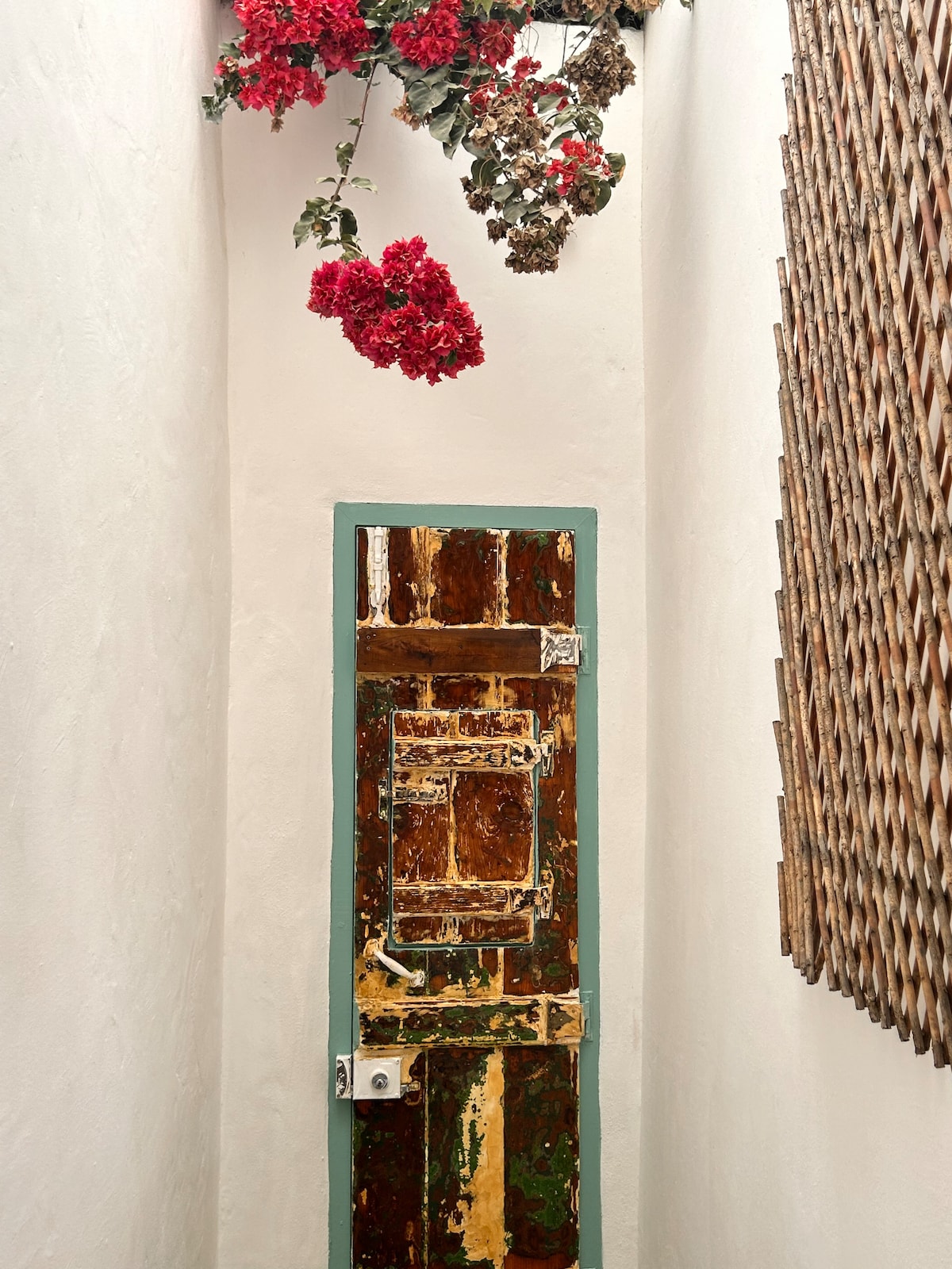 A narrow hallway is shown, featuring a weathered wooden door with a distinctive patina. A splash of vibrant red flowers drapes from above, contrasting with the white walls. Textured wall decor is visible to the right, adding to the traditional character.