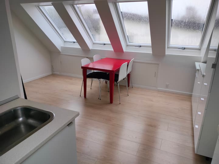 Stor Lys 1. Sal I Aarhus N Tæt På By Og Natur - Aarhus