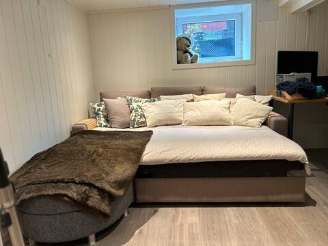 Room in newly renovated ground floor