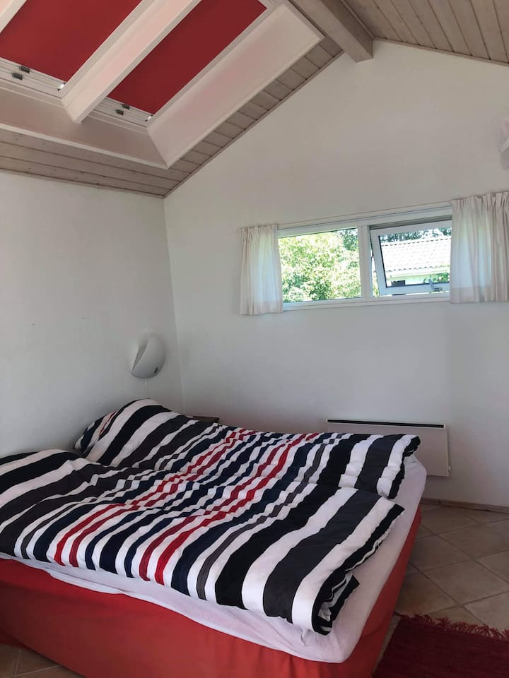 Habitación 1