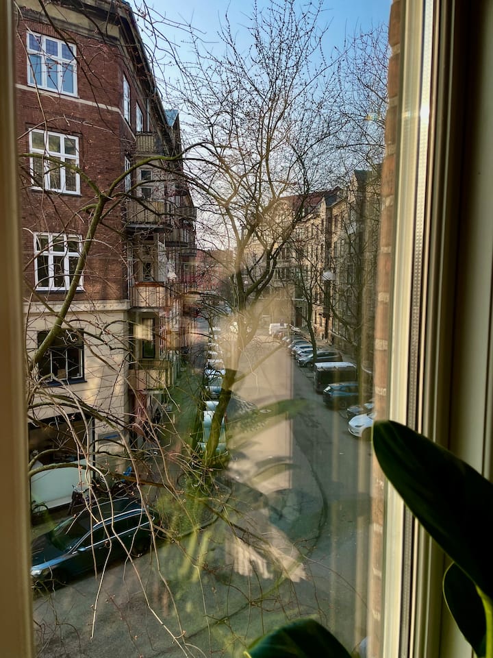 Výhľad na ulicu Prinsesse Maries  