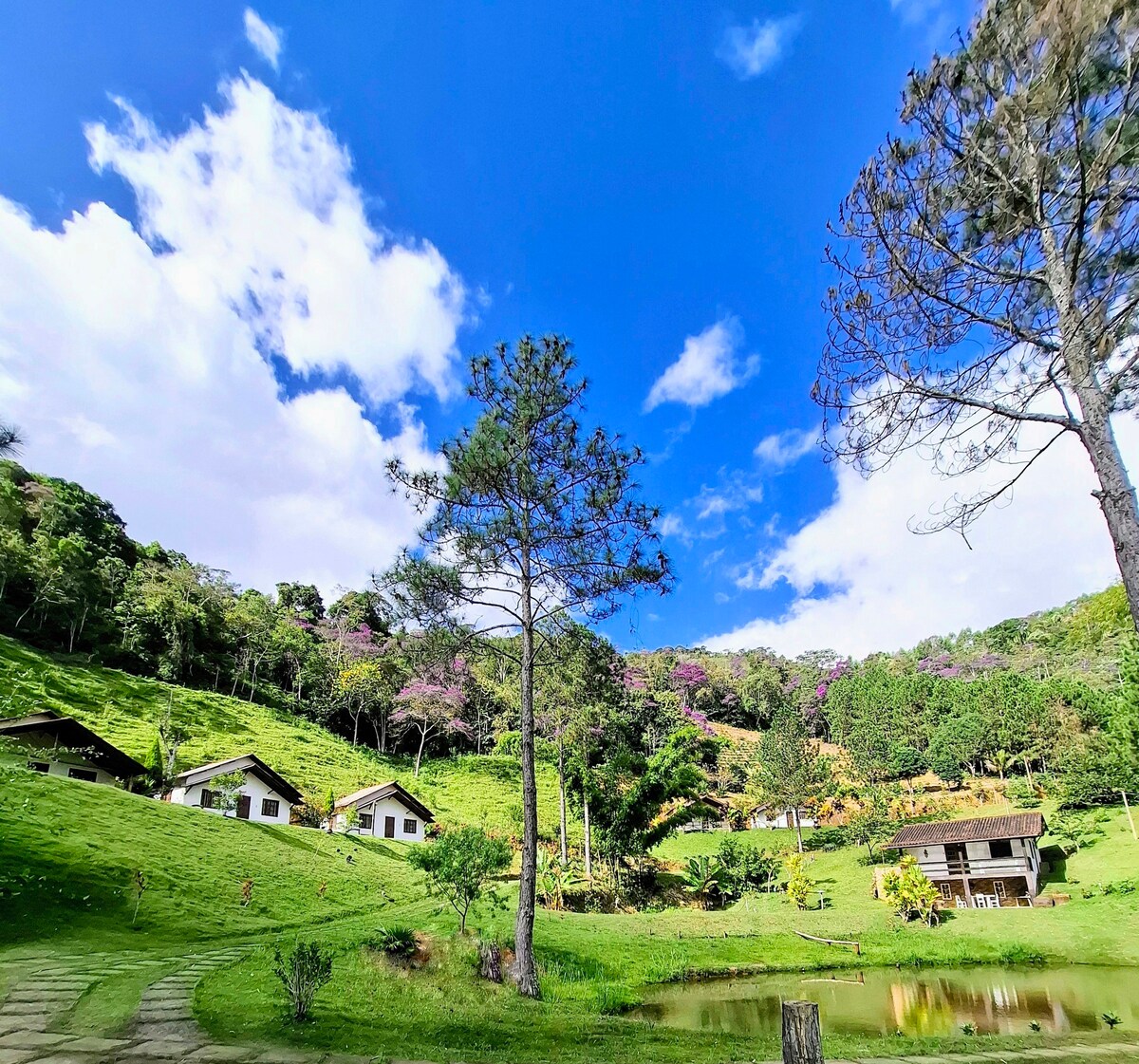 A serene landscape features a green hillside dotted with trees and blooming vegetation. The sky is bright with scattered clouds, and a tranquil pond reflects the surrounding nature. Rustic chalets are placed harmoniously among the greenery, offering a peaceful retreat.