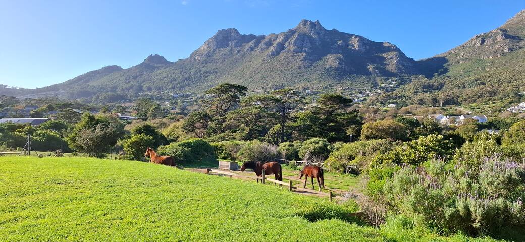Family home in top security estate, Hout Bay gallery image 3