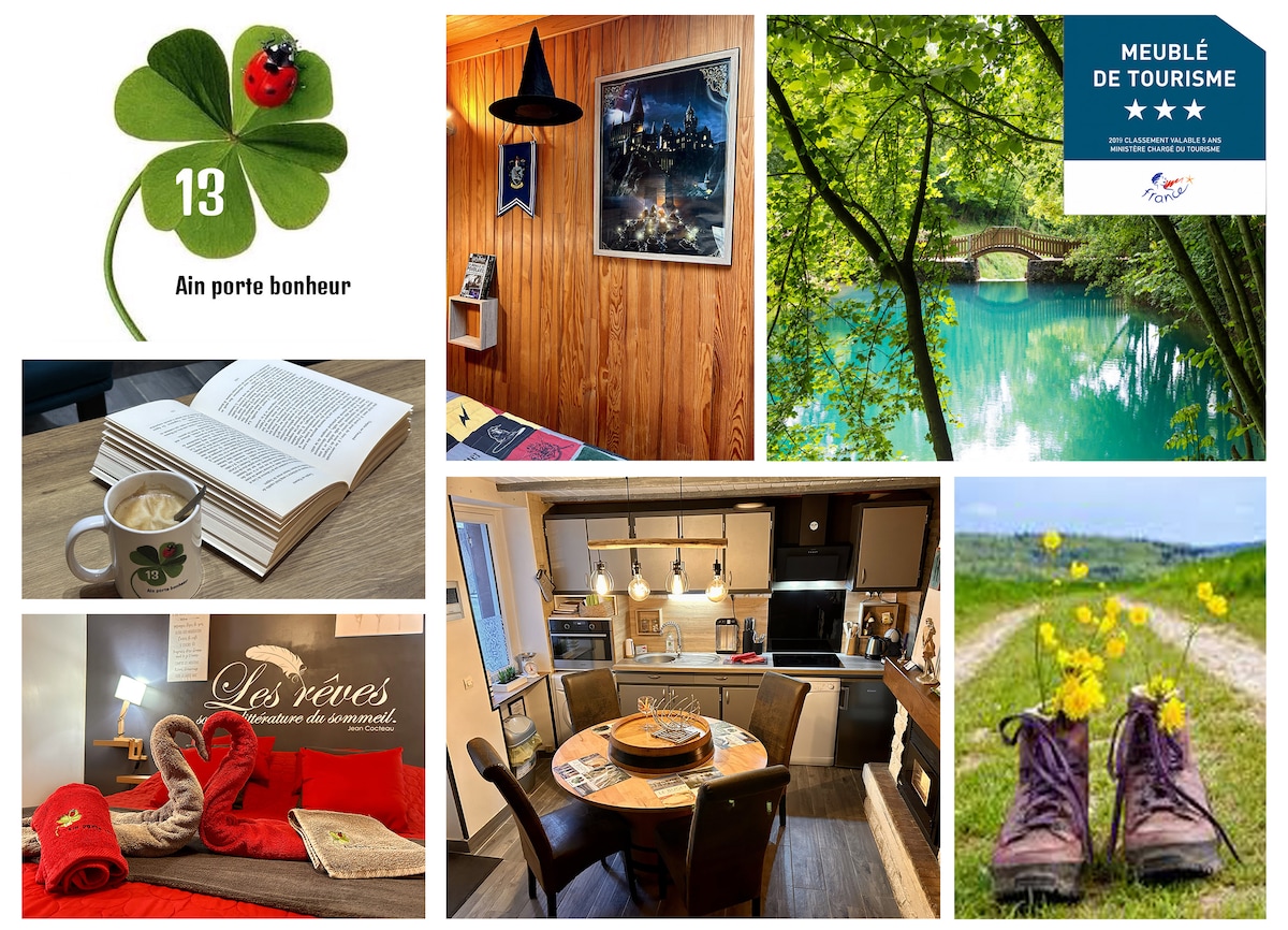 A cozy reading nook is presented with a book and a warm beverage, complemented by a red blanket draped over a spacious bed. A well-equipped kitchen area showcases modern appliances and dining space, while a tranquil outdoor scene features greenery and a charming bridge.