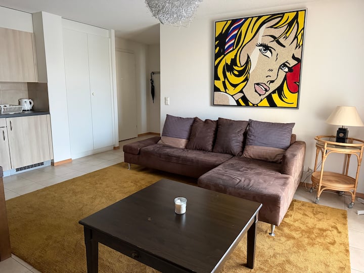 Beau Appartement à Morges Gare - Morges