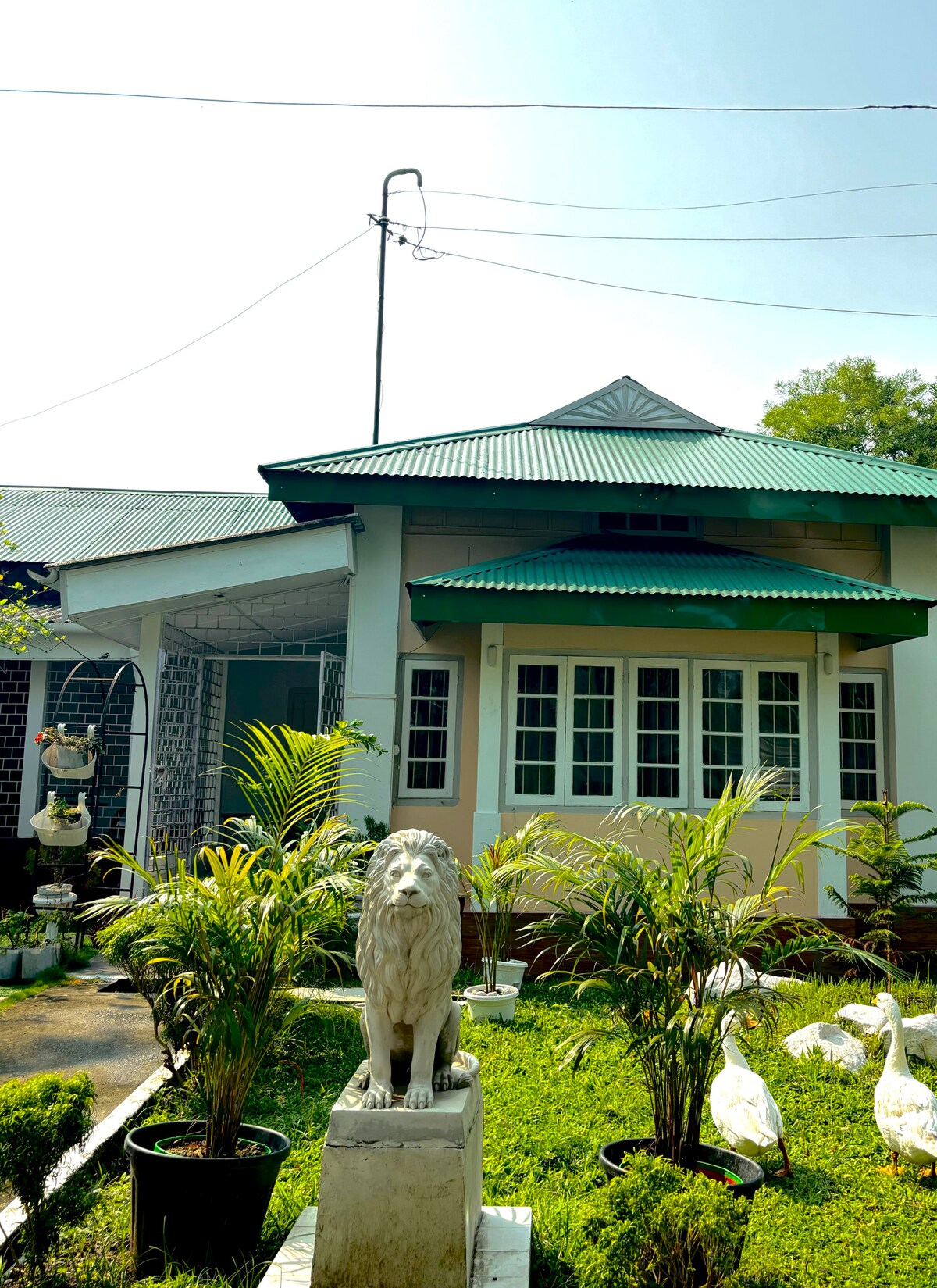 A vintage bungalow is viewed from the front, featuring a green roof and multiple windows. Flanking the entrance, a stone lion statue stands on a pedestal, surrounded by potted plants. Lush greenery complements the serene atmosphere of the home.