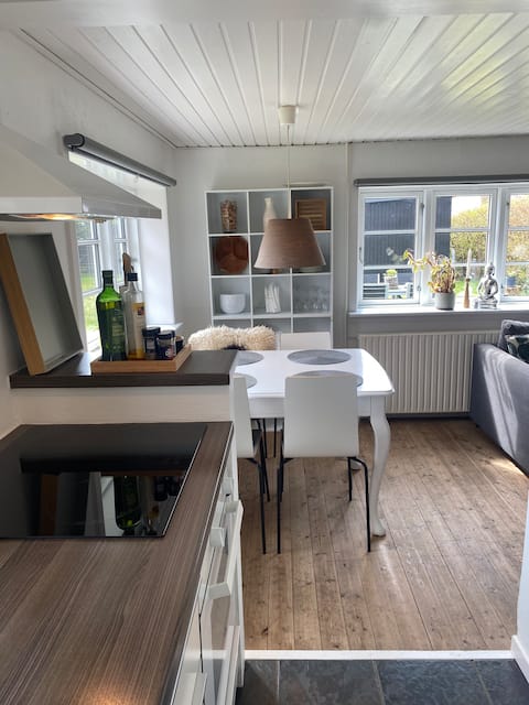 Close to the sea in cozy Ålbæk