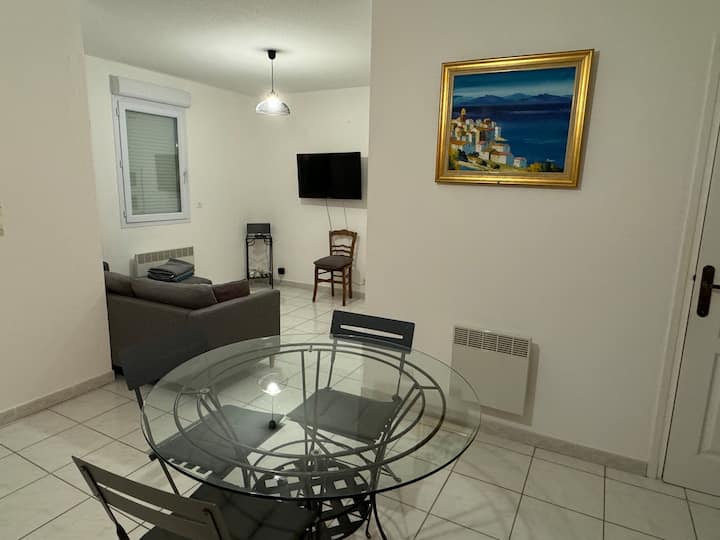 Spacieux Logement Climatisé  Vue Sur Le Golfe - Corsica
