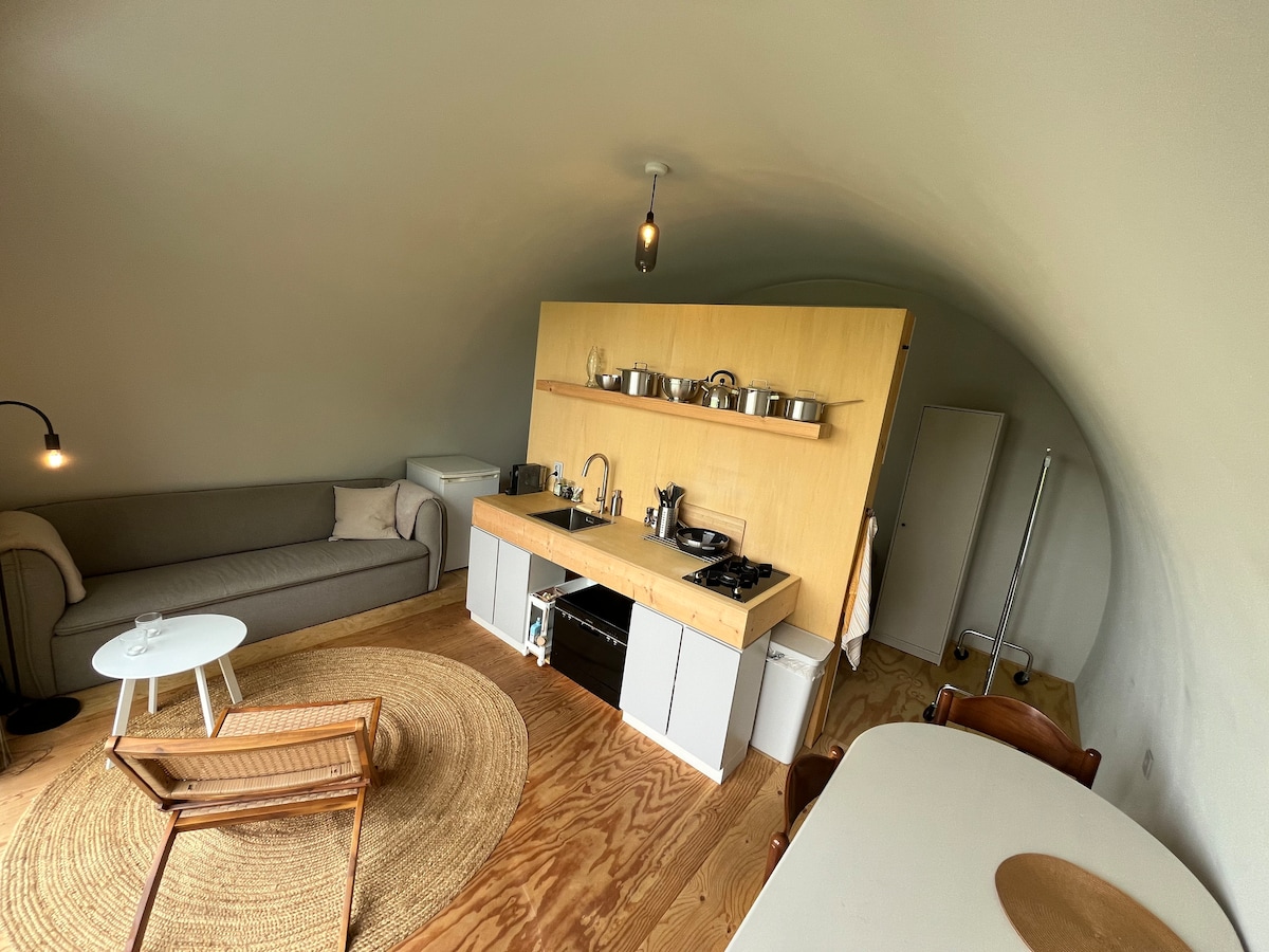 An inviting living space features a curved wall design, with a comfortable sofa and a round coffee table. A wooden kitchen counter is equipped with cooking appliances and dishware. Natural light enhances the warm wood flooring and circular area rug, creating a cozy atmosphere.