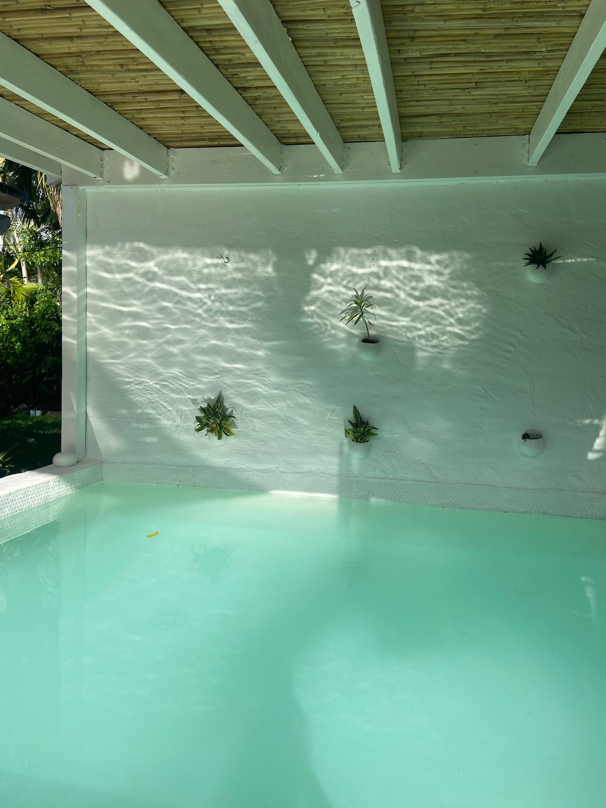 Urban Oasis