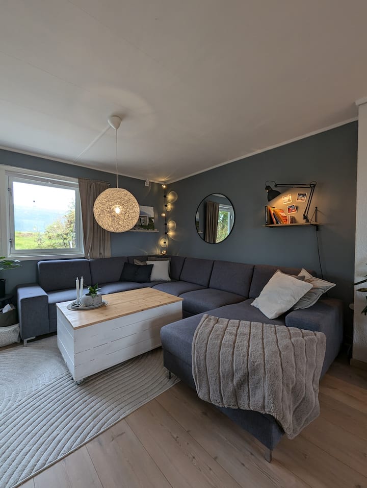 Голям и удобен диван, който може да се използва и като легло, ако е необходимо (налично е спално бельо). 