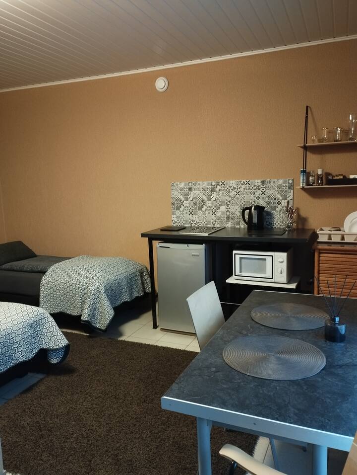 За ваше удобство в общата зона има спална зона, кухня и маса за почистване. Достъпът от стаята е до самостоятелната баня с душ само за вас.