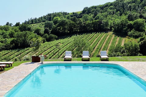 Charming villa w/private pool and vineyard views
