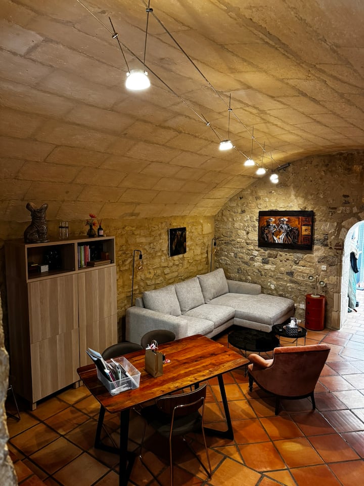 N°5 - Appartement Avec Jardin Au Coeur Darles - Arles