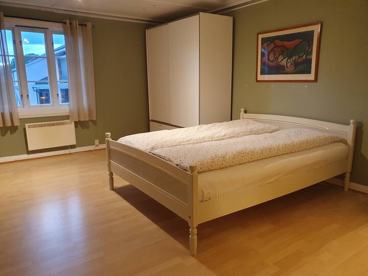 Habitación 1
