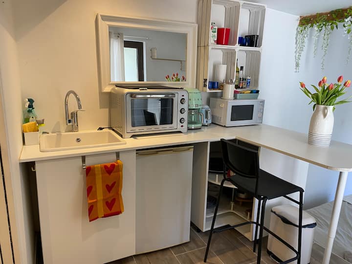 Studio à 30 Mn Du Centre De Paris - Nogent-sur-Marne
