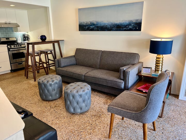 Turtle Creek Condo - Dallas, TX
