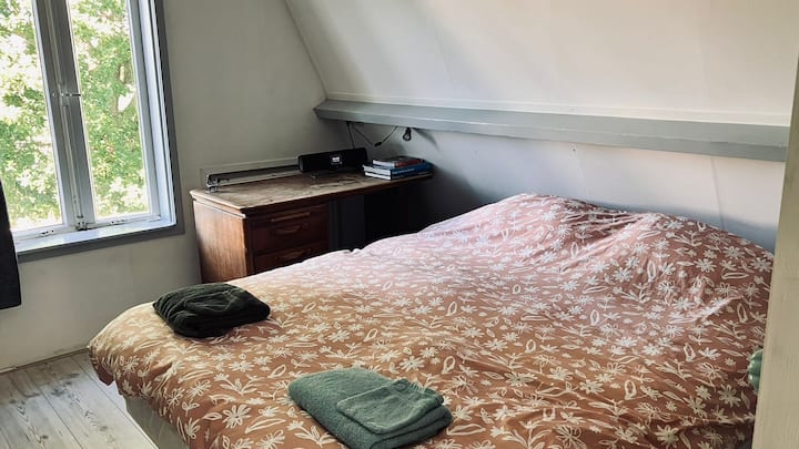 Schlafzimmer 1