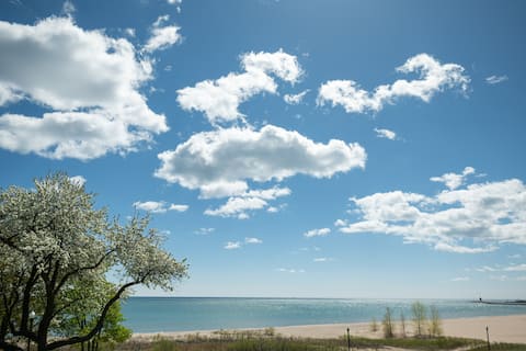 Gorgeous renovated 1200sf apt with lake views