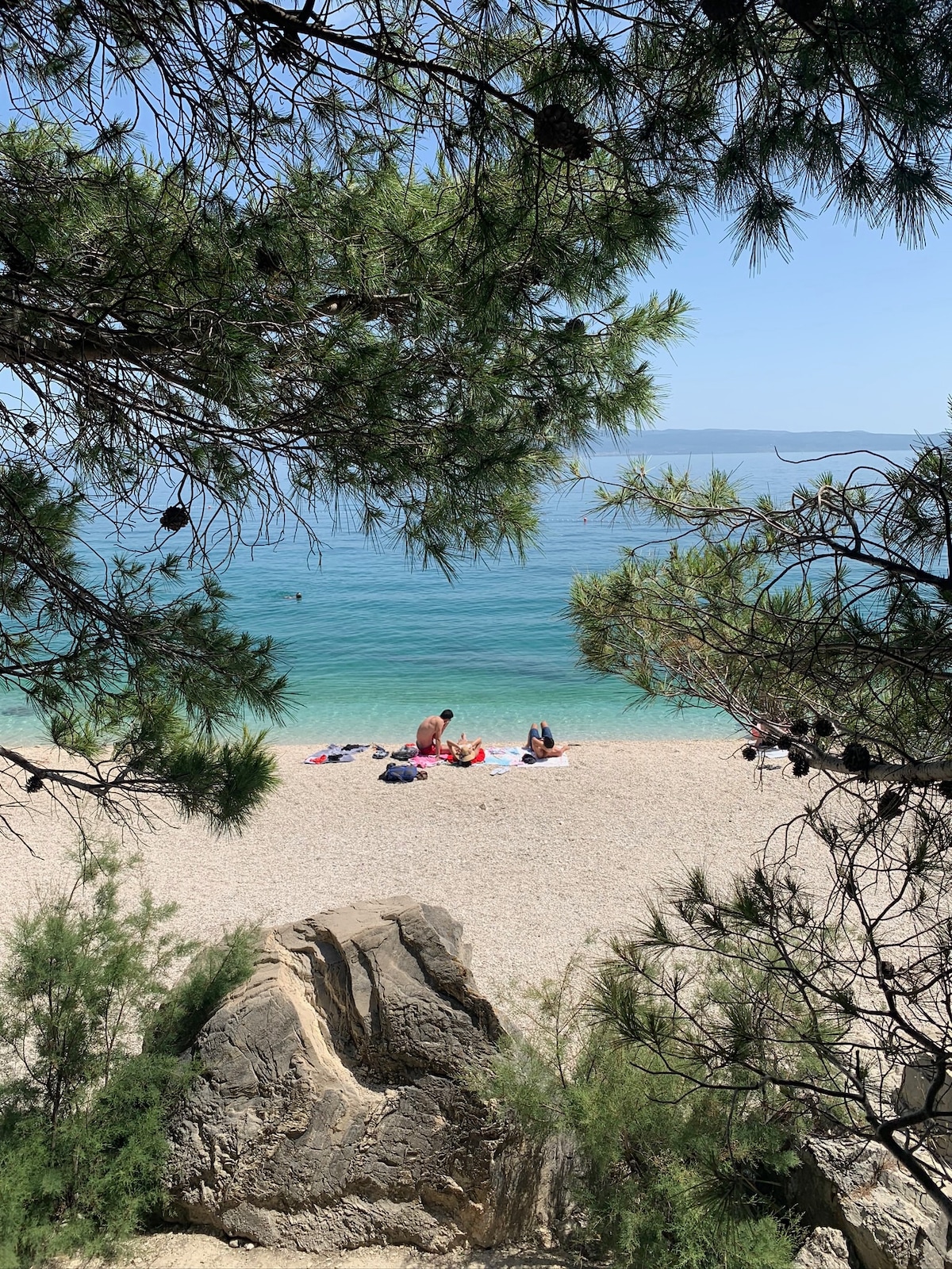 A tranquil beach scene is framed by branches and foliage. Soft sand and clear waters are visible, with several people lounging on towels. The distant horizon meets the sky, providing a sense of openness and serenity.