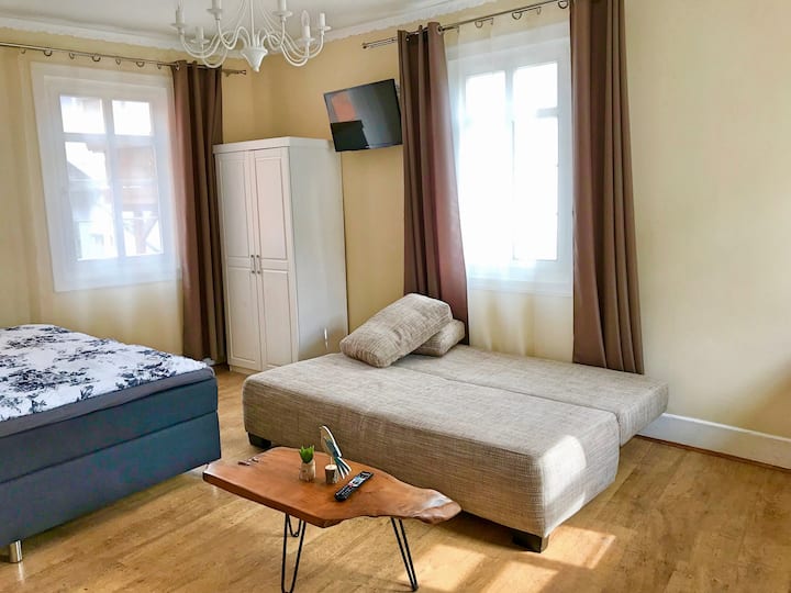 Ruedesheim- Bright Studio Apt- Central-quiet & New - Bingen am Rhein