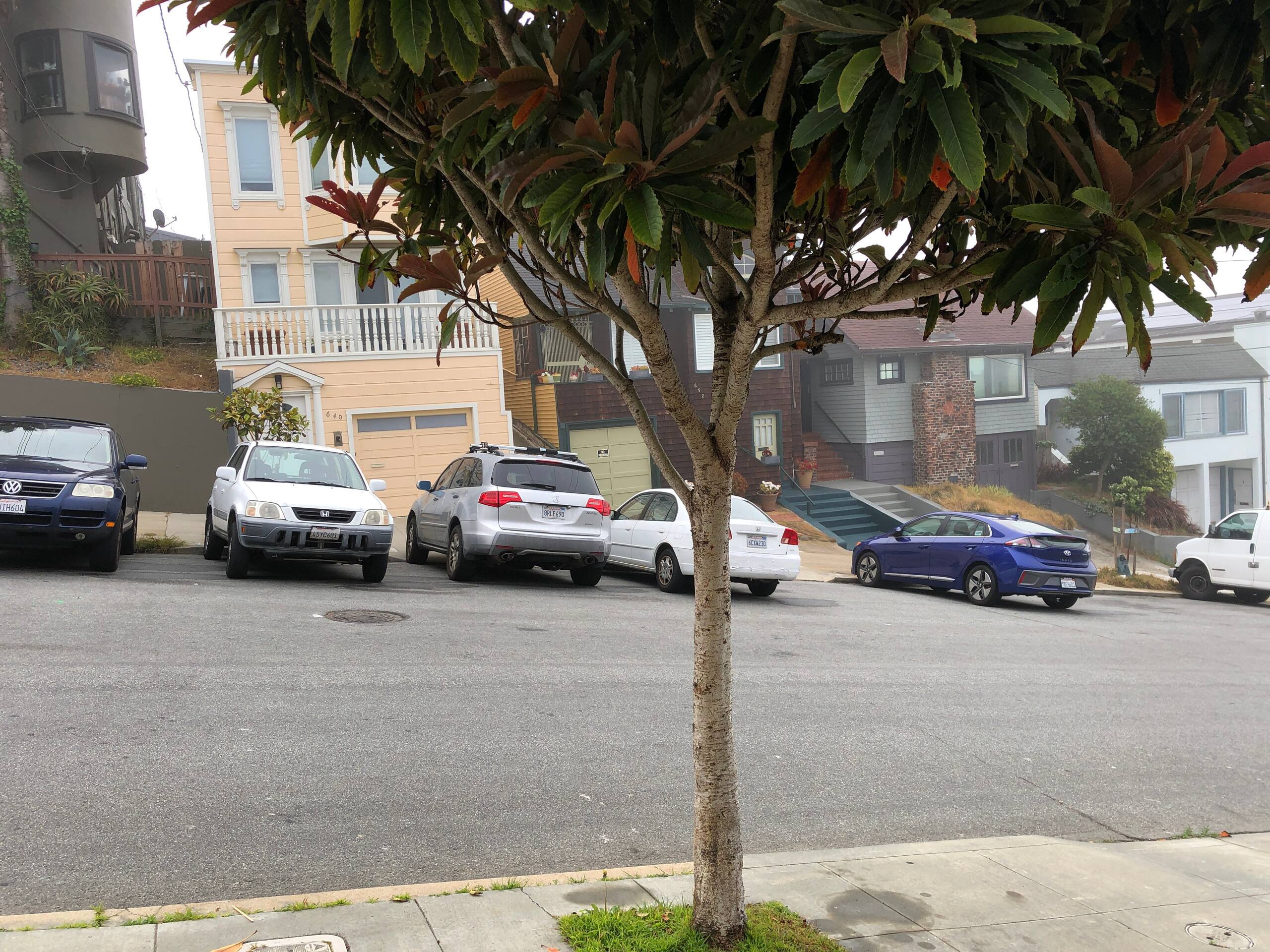 A Little City Without the Nitty Gritty-Stay Safe! - Image 38