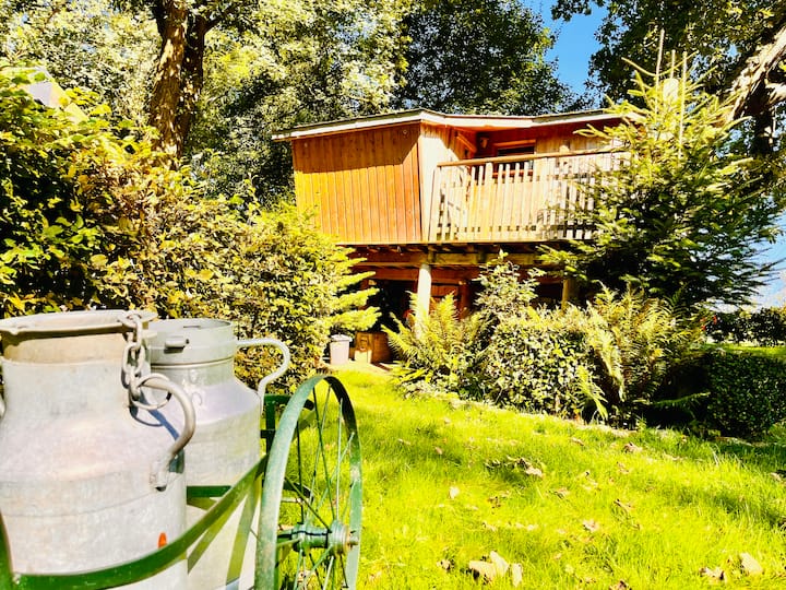 La cabane perchée du trappeur
