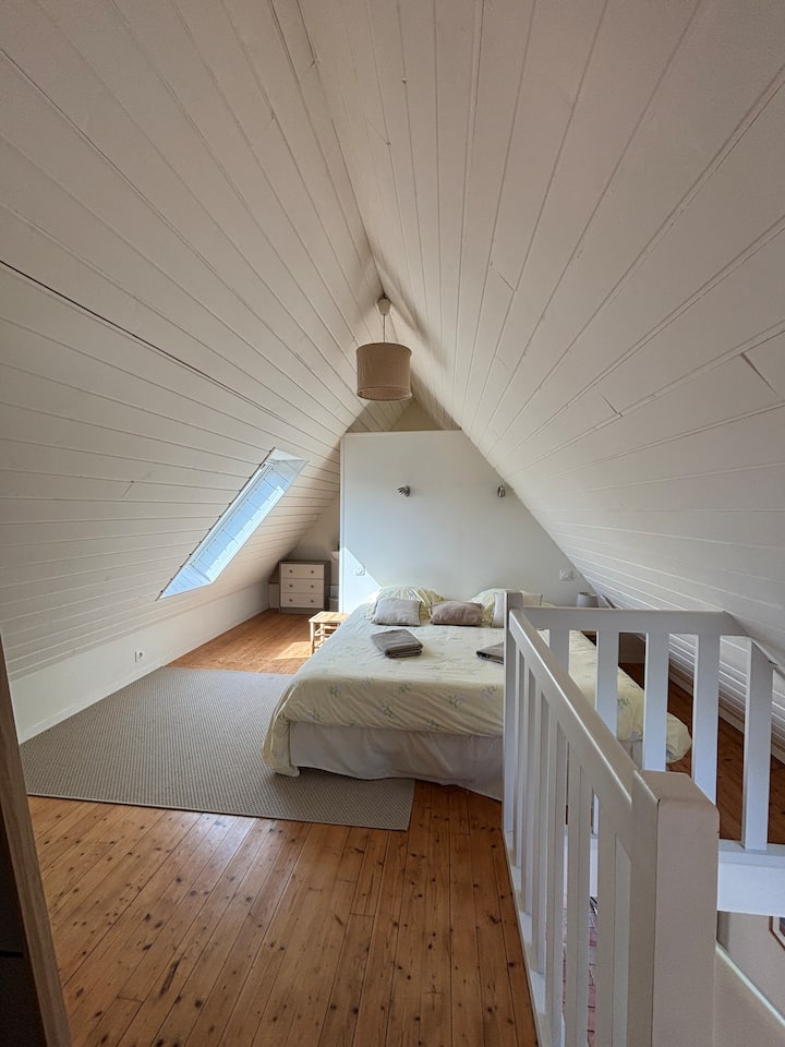Habitación 1
