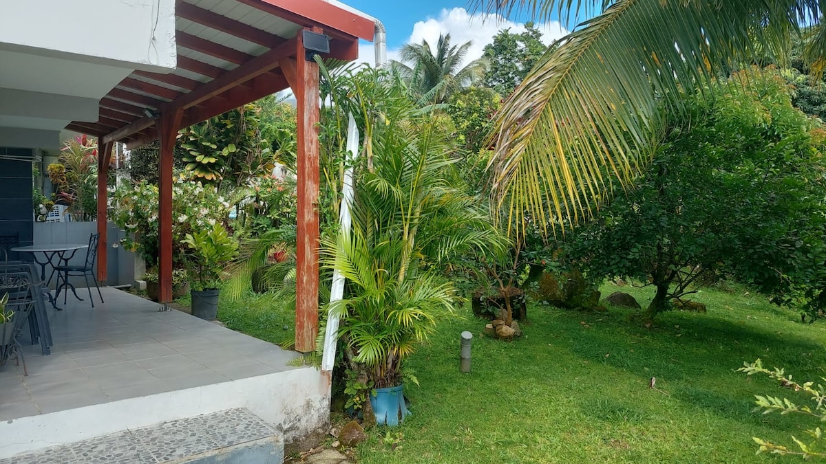 A covered terrace provides access to a lush garden filled with tropical plants. The space is shaded by tall palm trees and features a green lawn. A dining set is visible on the terrace, enhancing the connection to the outdoor environment.