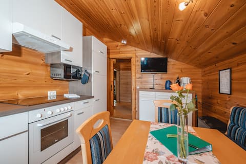 Erfolgreiche Airbnb-Immobilie: Nature & Coziness | Haus Pongau2 Flachau in Flachau