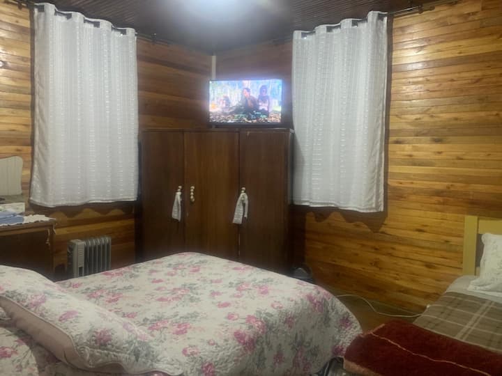 Habitación doble con cama individual y TV