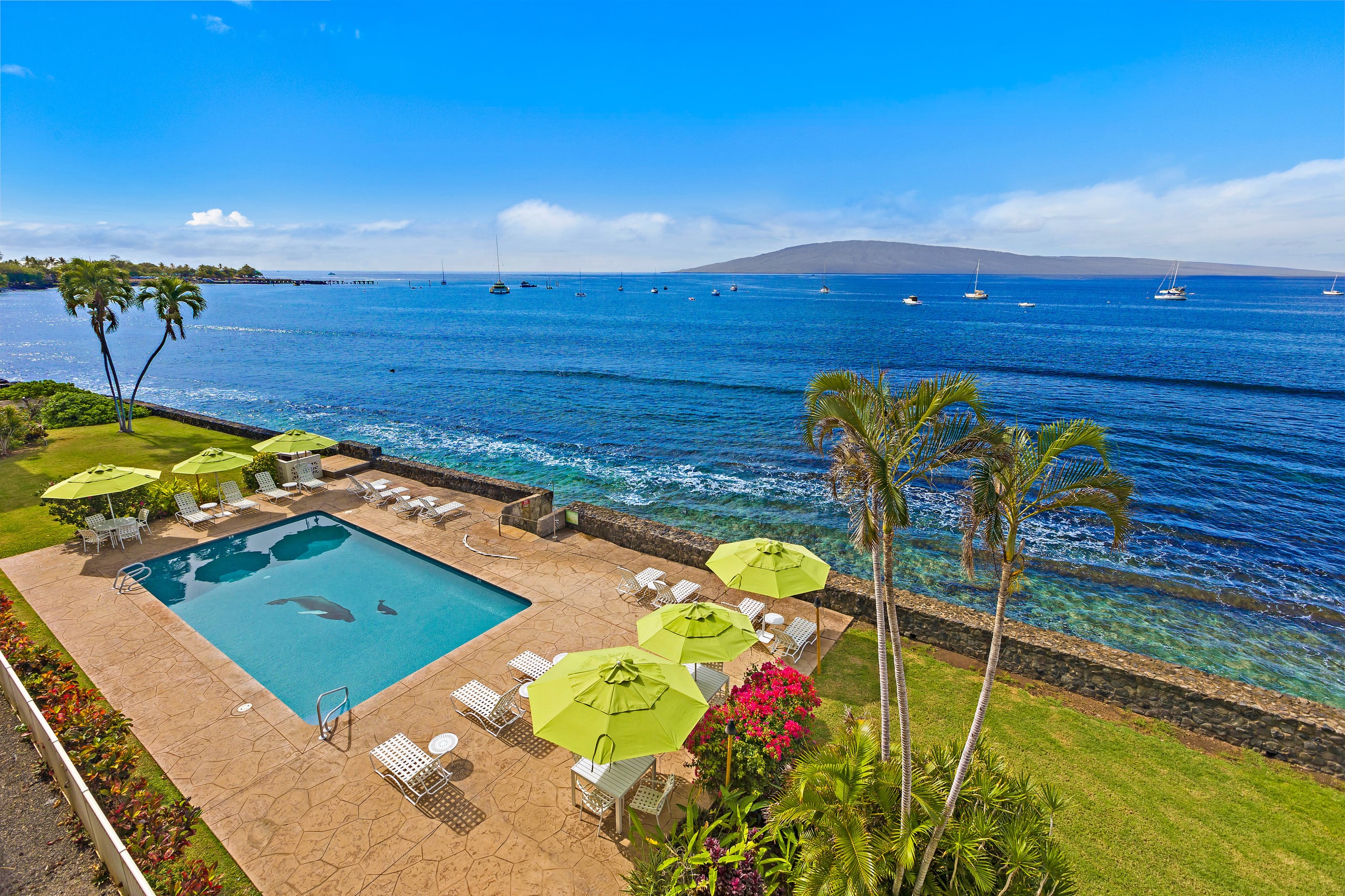 Condo in Lahaina · ★4.96 · 1 bedroom · 2 beds · 1 bath - Image 2