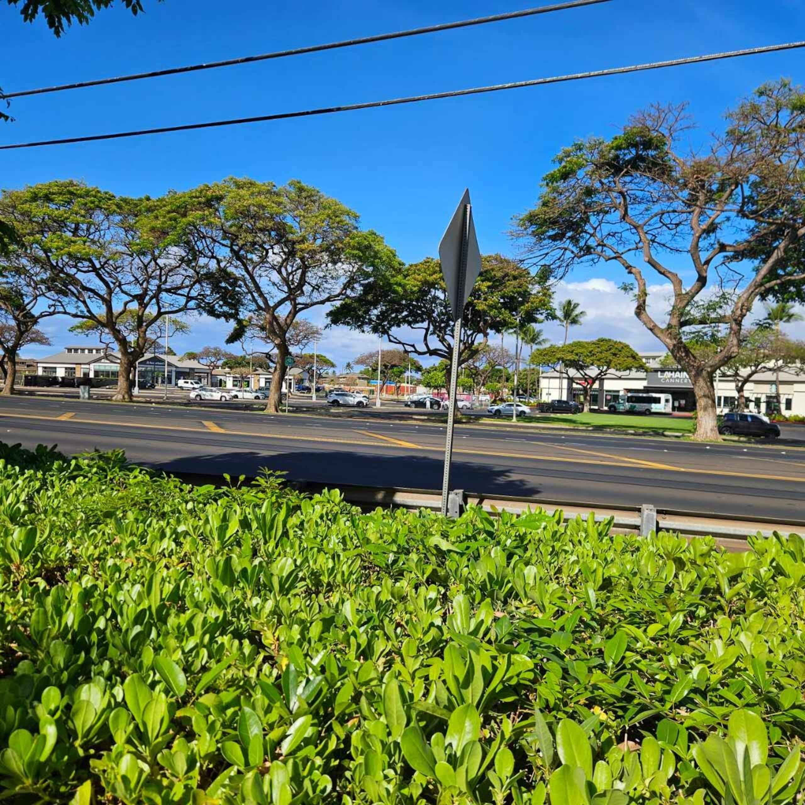 Condo in Lahaina · ★4.96 · 1 bedroom · 2 beds · 1 bath - Image 41